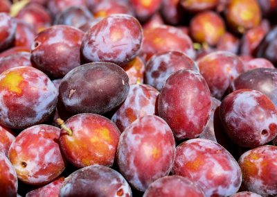 prunes crissier