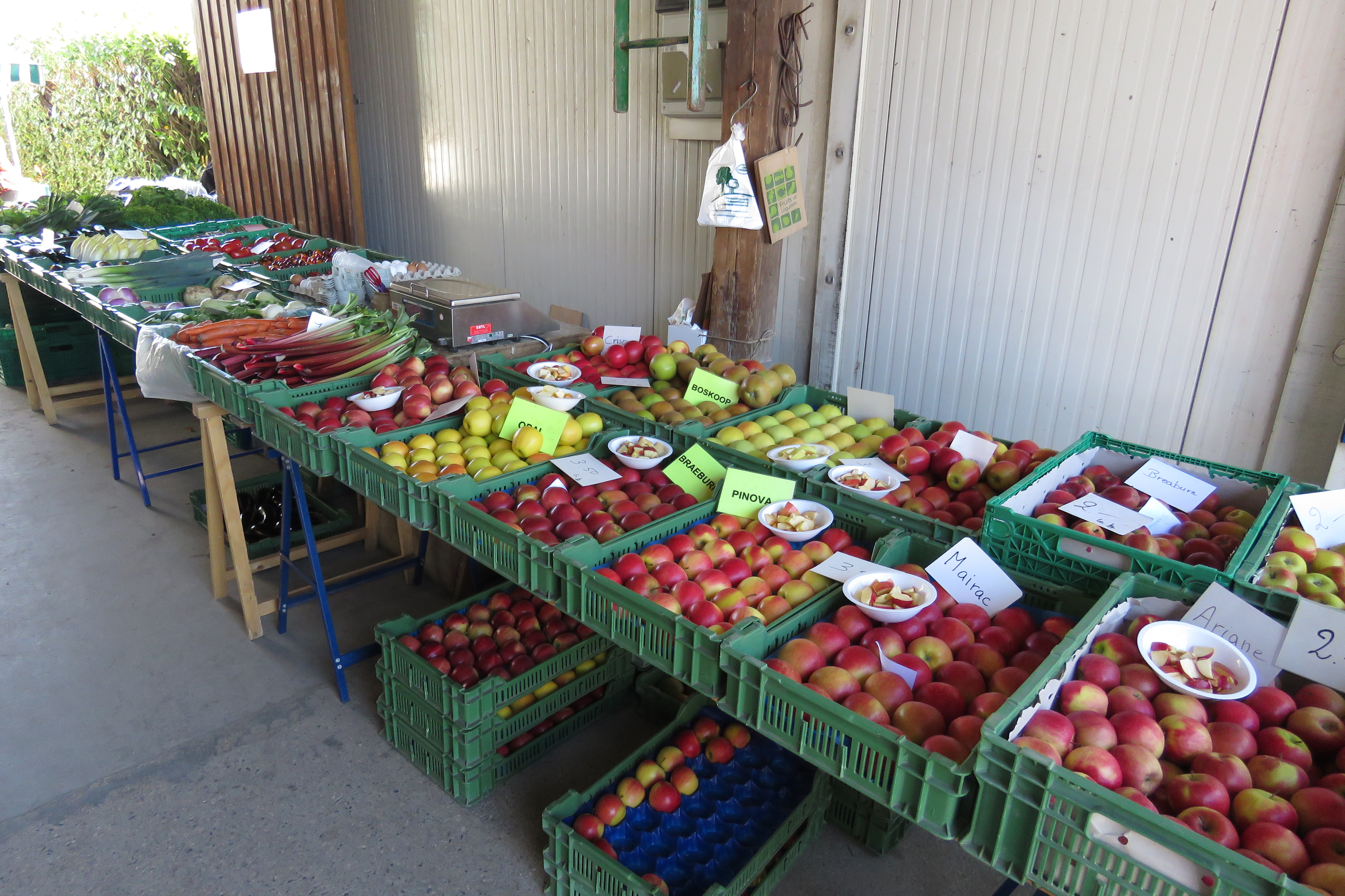 Tous les vendredis après midi, de 14h00 à 18h30, la famille Blondel vous accueille à la ferme pour vous proposer des produits locaux de Production Intégrée (PI). Vous trouverez des fruits et des légumes de la région, mais également de la viande ainsi que des produits laitiers. Venez nous rendre visite !